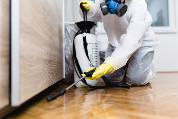 Best Termite Control Services  in Harrison, NY