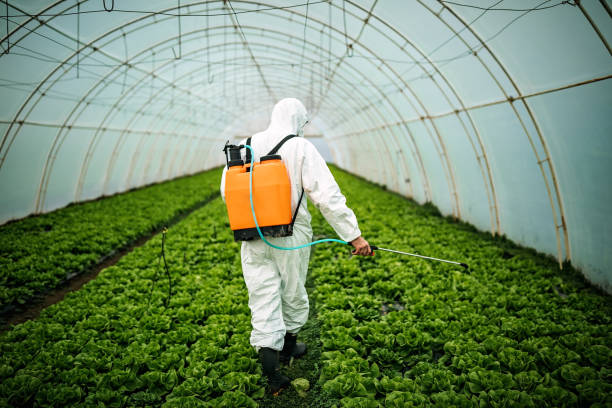Best Best Pest Control Companies  in Harrison, NY