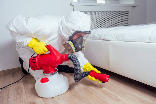 Best Emergency Pest Control  in Harrison, NY