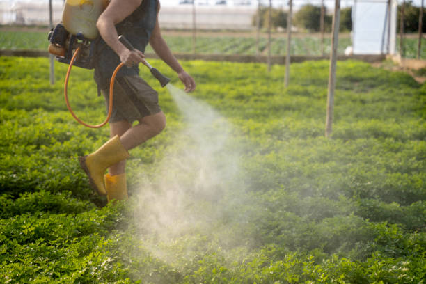 Best Local Pest Control Services  in Harrison, NY